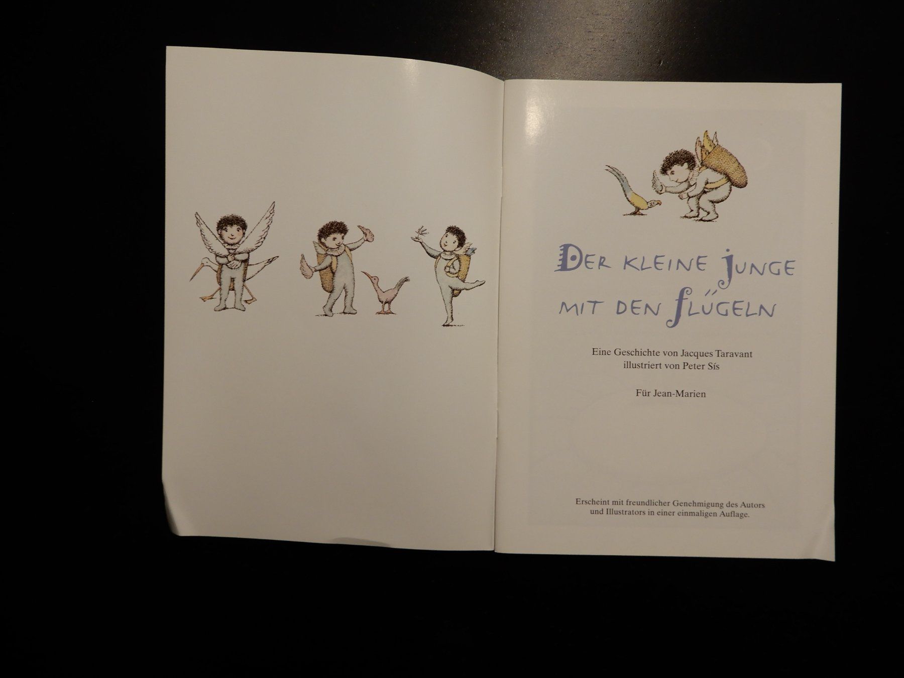 Libri: Der kleine Junge mit den Flügeln - Buch – Usato da Erstfeld venduto da Mario_boe0 1