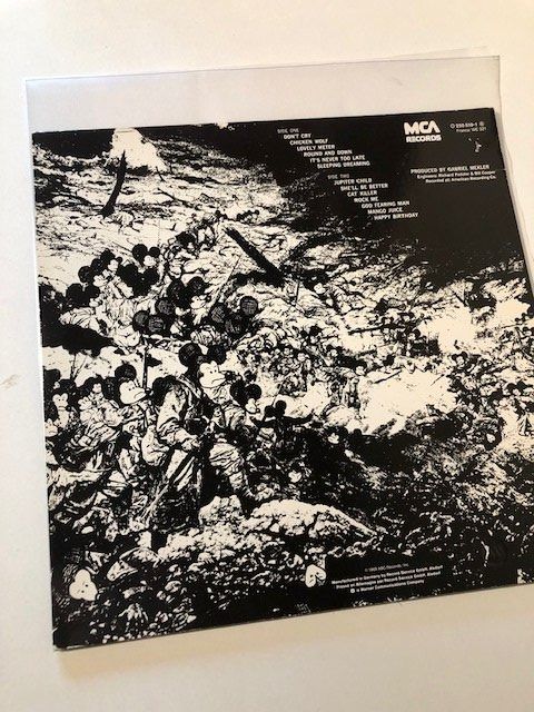 Dischi in vinile: Steppenwolf – Usato da Aarwangen venduto da Jukebox3 2