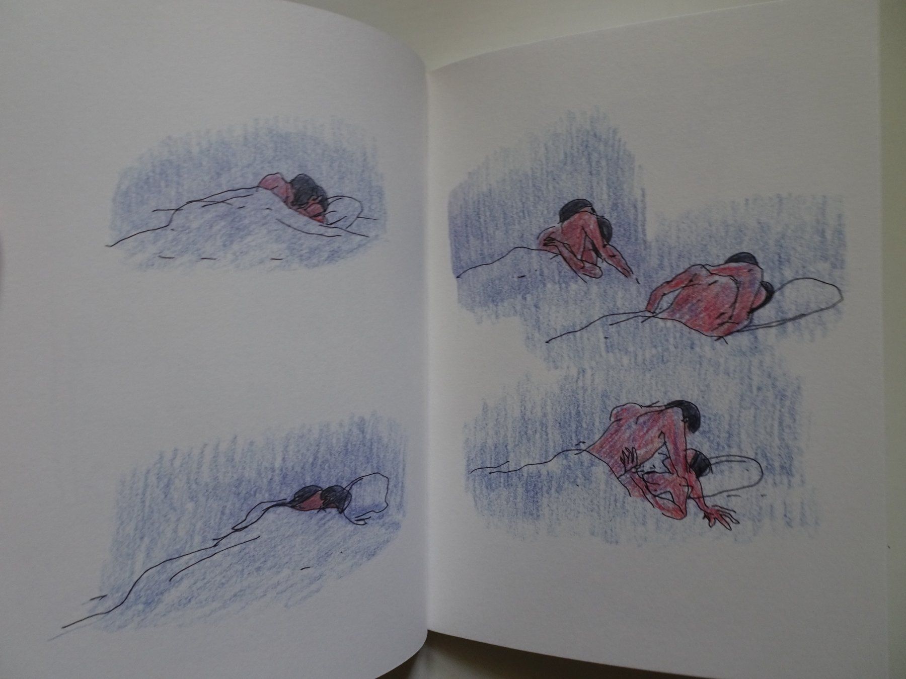 Fumetti: Bastien Vivès - Das Gemetzel – Usato da Schönenwerd venduto da schnitzunddrunter 2