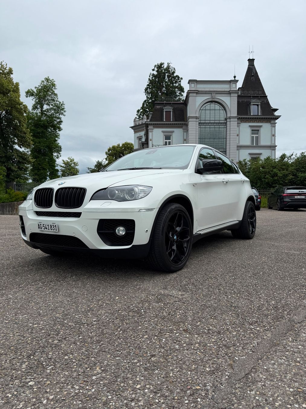 BMW Automobili: Bmw X6 40d – Usato da Bad Zurzach venduto da maus027