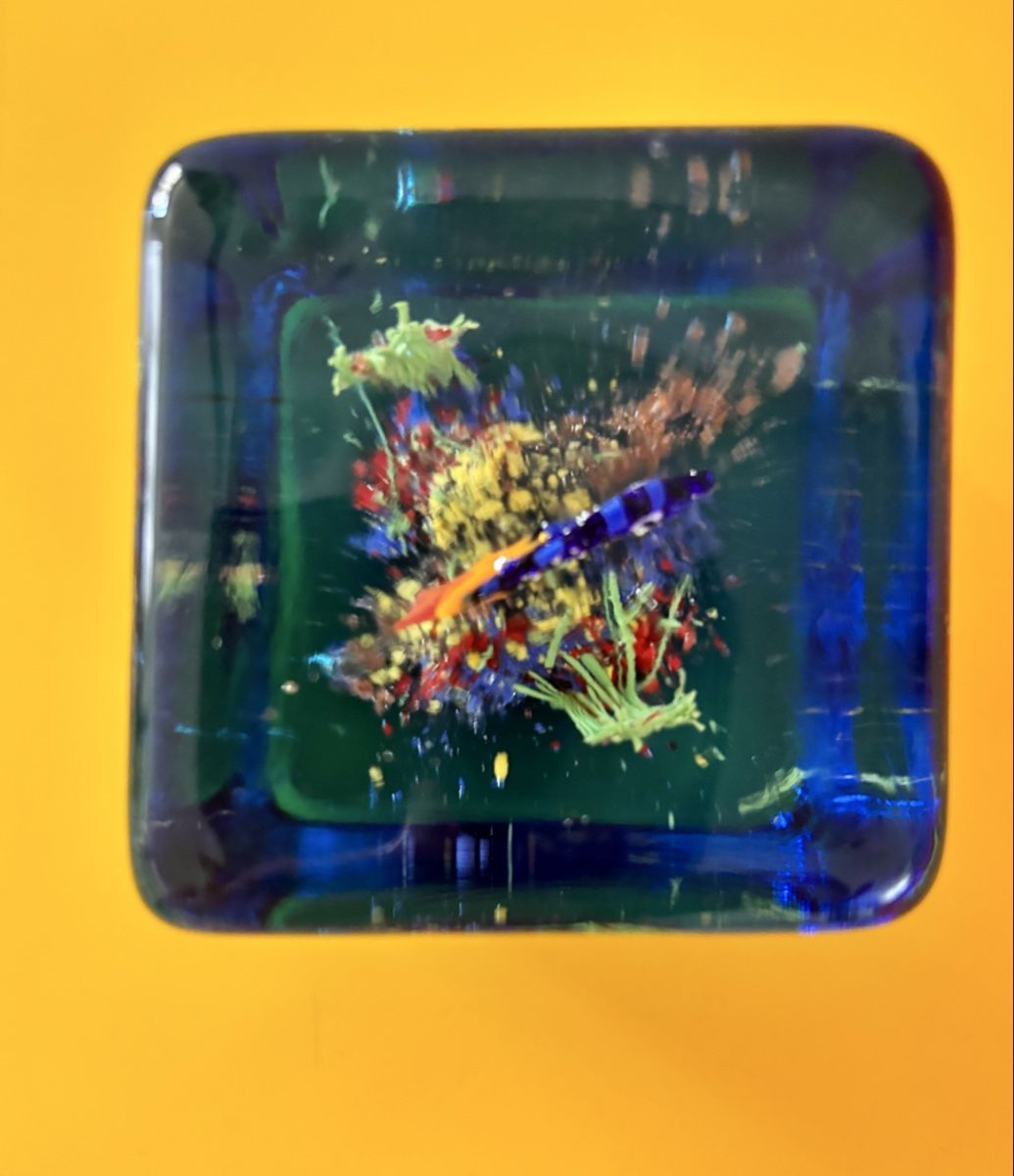 Murano Bicchieri: Murano Briefbeschwerer Würfel Aquarium – Usato da Mellingen venduto da villapepa 4