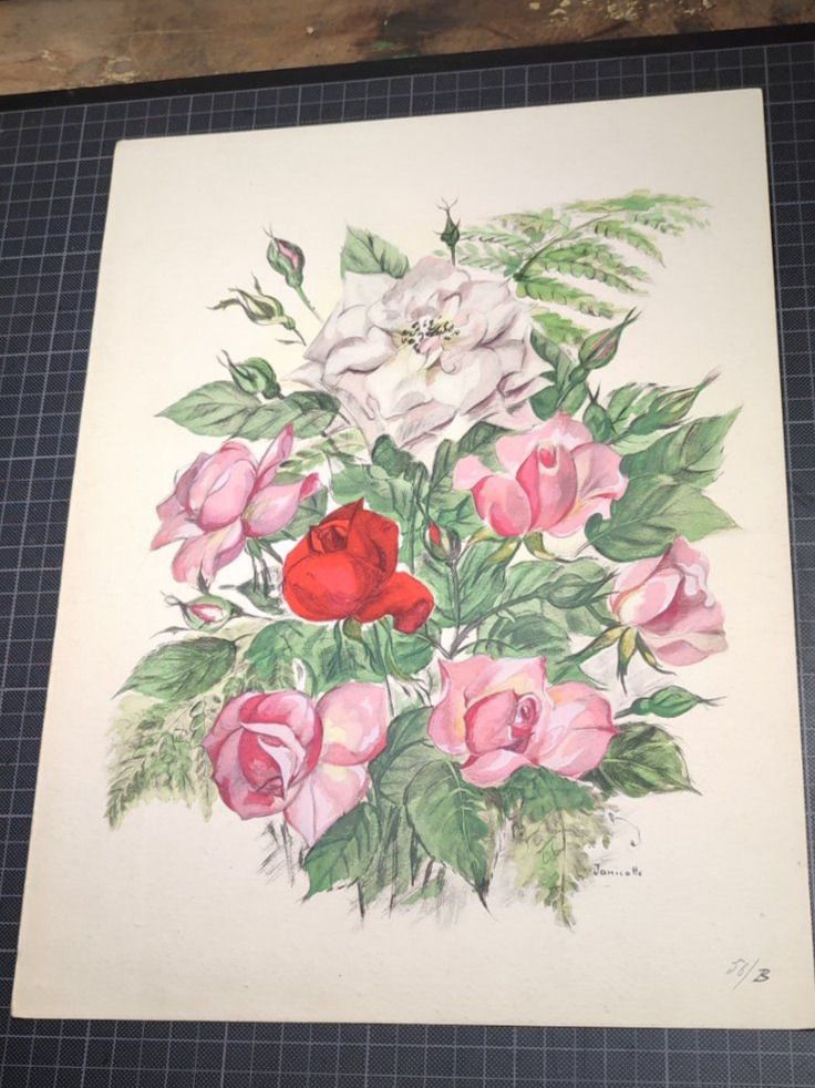 Posters & Illustrations: Wunderschöne Bild von Janicotte – D'occasion à Gelterkinden par MYSTOREFORYOU4460ART