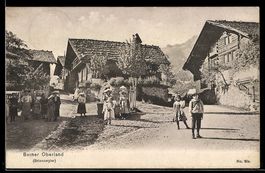 AK Brienzwyler /Berner Oberland, Straßenpartie mit Personen