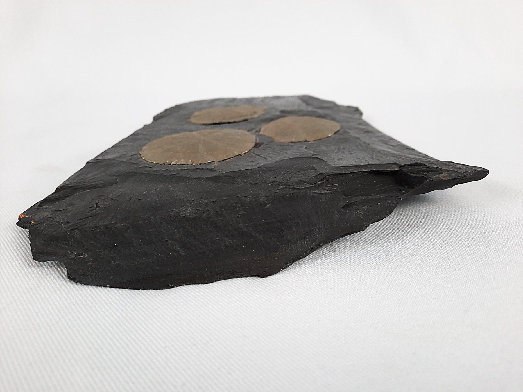 Mineralien & Heilsteine: 4 Pyrit Sonne auf Kohle-Schiefer – Gebraucht aus Beinwil am See von Restwert_Beinwil 2