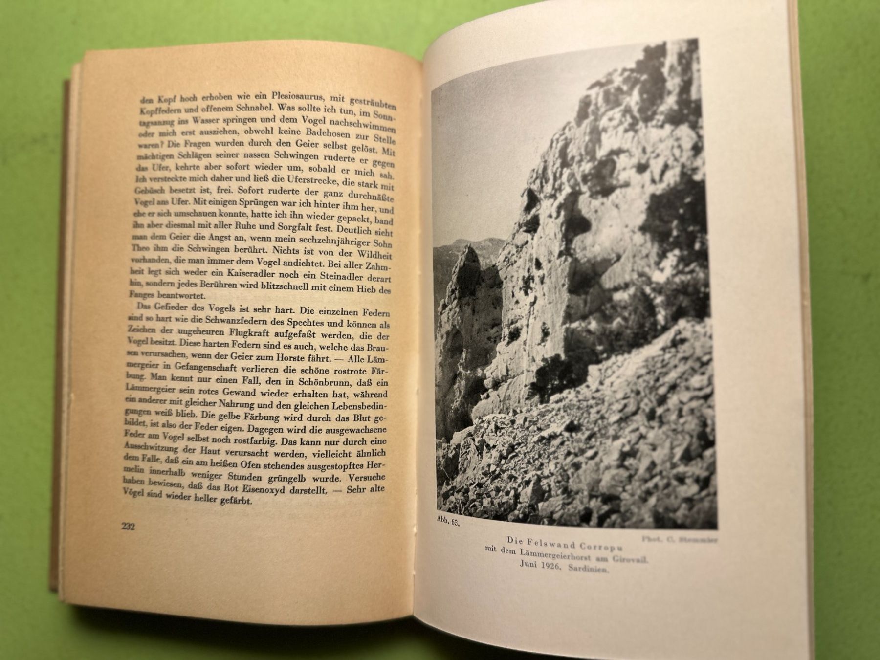 Libri: Carl Stemmler: Die Adler der Schweiz. – Usato da Zürich venduto da allp 6