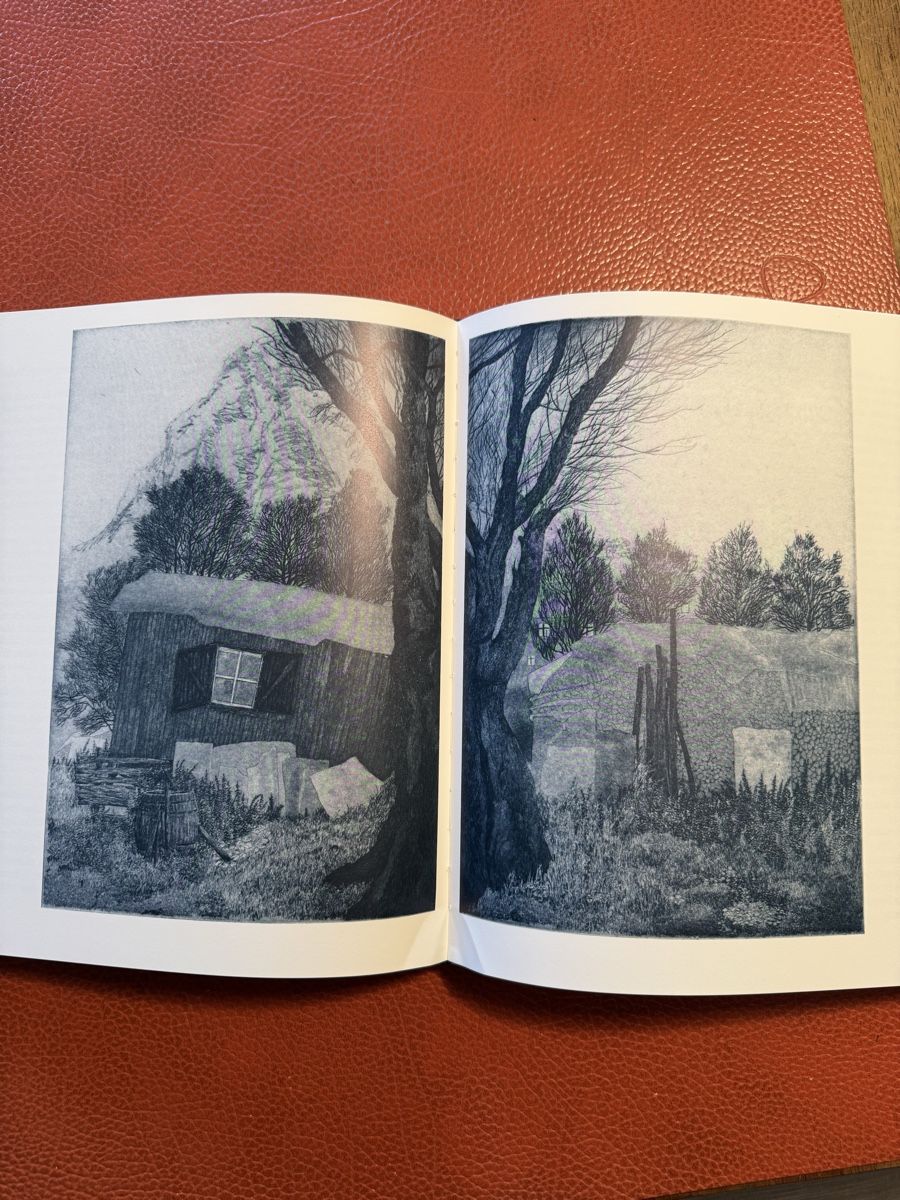 Libri: Bildband von Walter Dick & Werner Wiedenmeier Lithos – Usato da siebnen venduto da minte 6