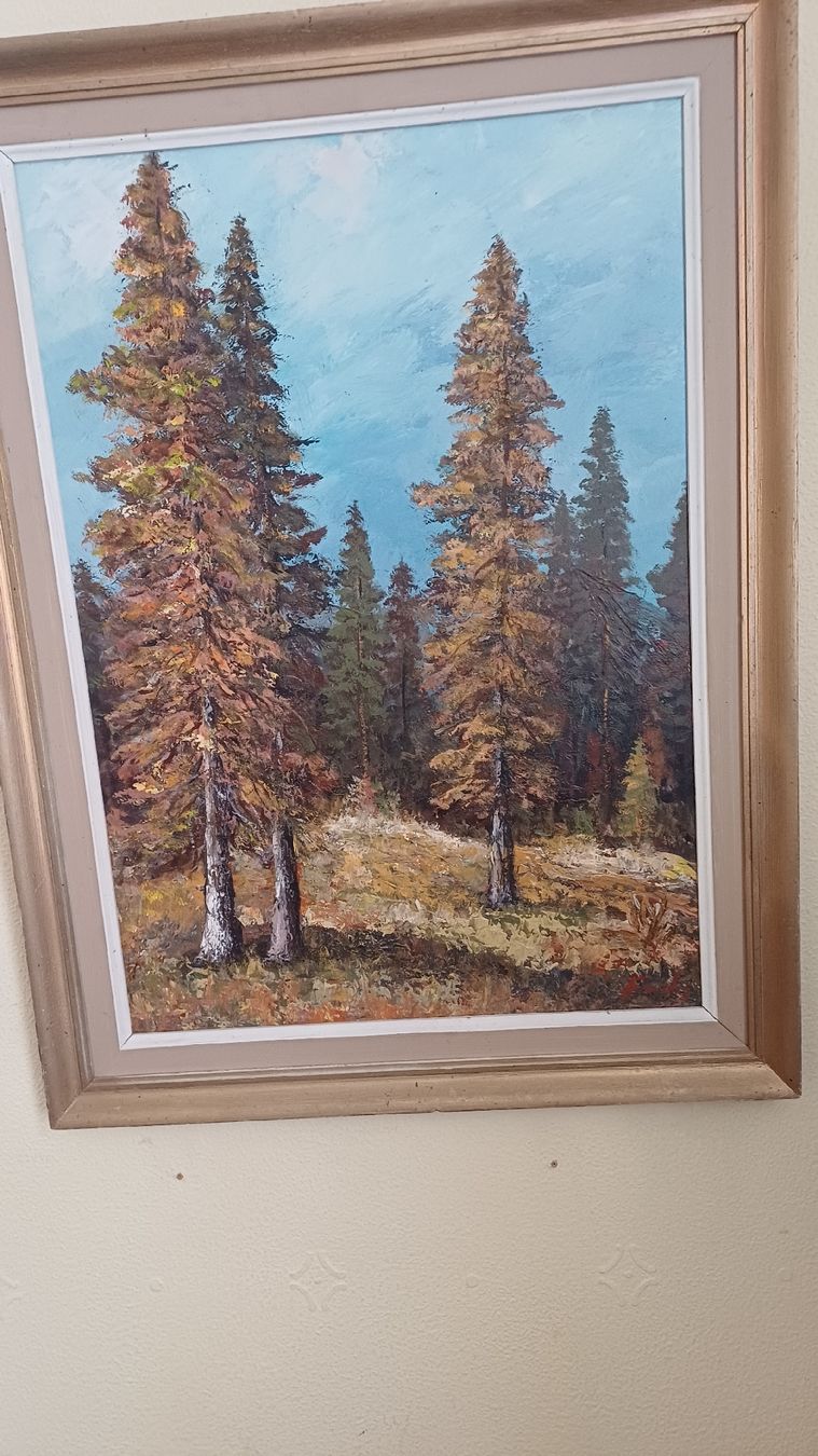 Dipinti: Schönes Naturbild Handgemalt  – Usato da Flawil venduto da Pinkmalibu 1