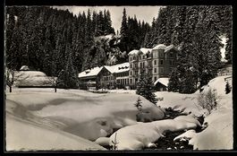 AK Rosenlaui /Berner Oberland, Hotel und Nebengebäude am Bac
