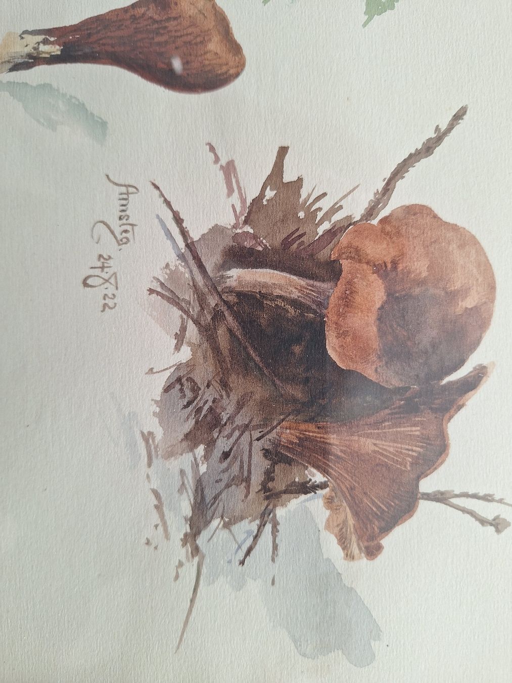 Gemälde: CHAMPIGNONS – Gebraucht aus Bevaix von bohrap 2