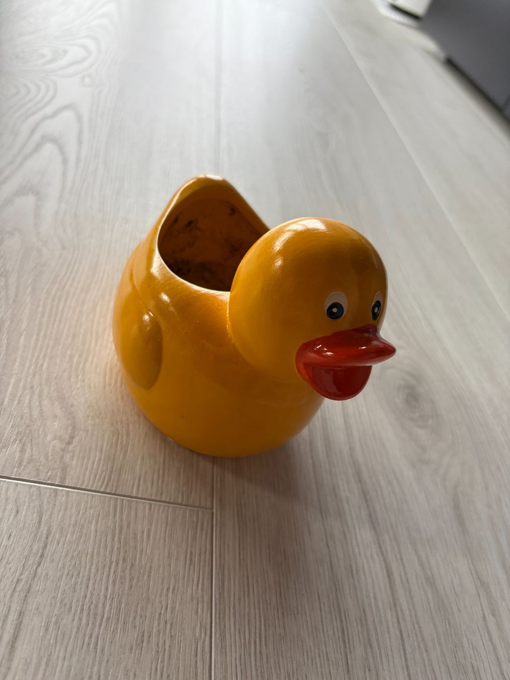 Pots de fleurs: Blumentopf Ente – D'occasion à Mühleberg par cupra80