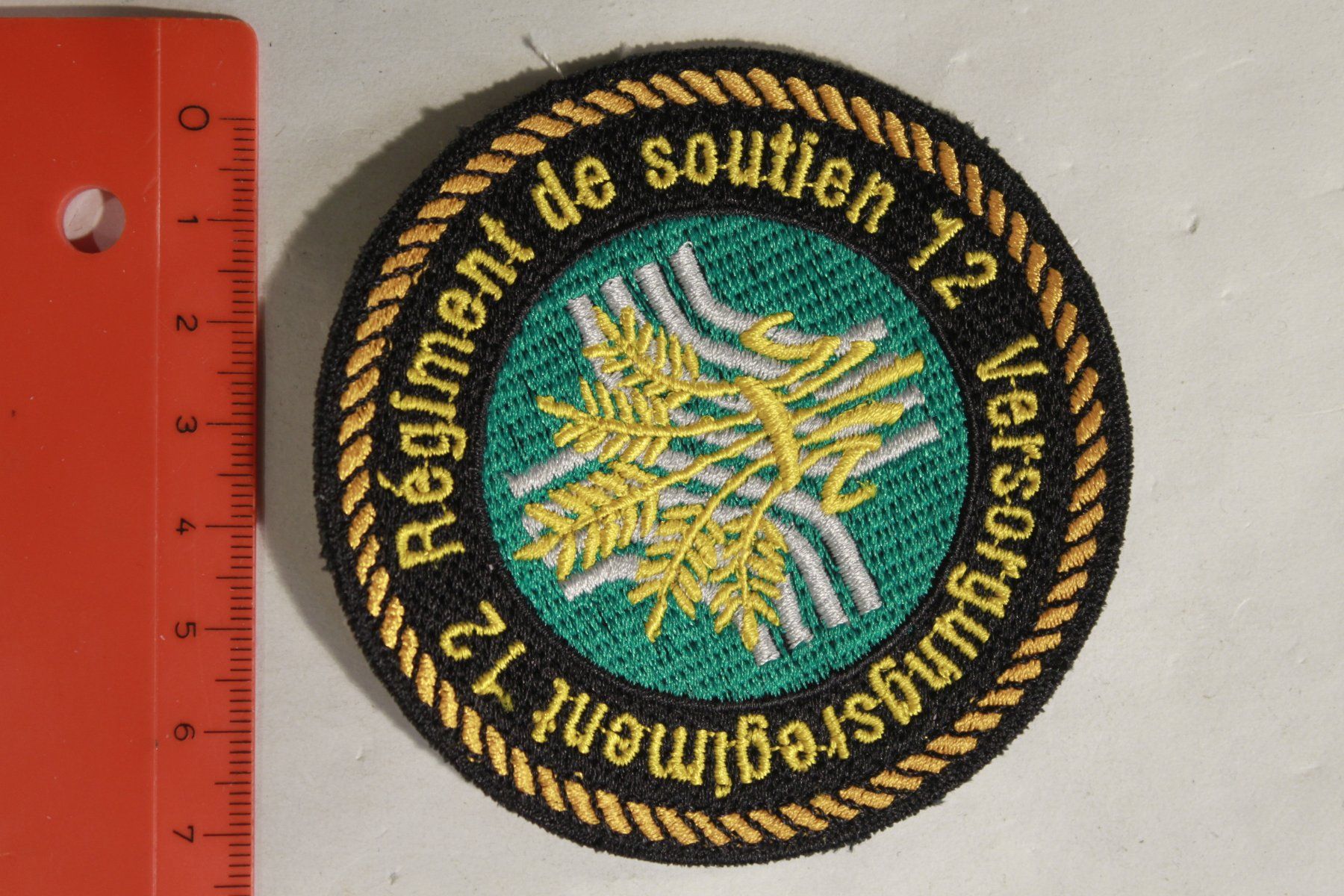 Schweizer Armee Placchette & Badge: Regiment 12 – Usato da La plaine venduto da 7A6T2ME
