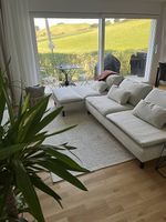IKEA SÖDERHAMN 4er-Sofa  Beige