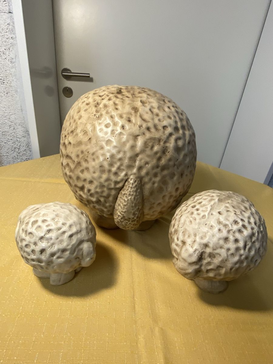 Statuette: Deko SCHAFE aus Ton – Nuovo (secondo la descrizione) da Schneisingen venduto da bea_9lqd 1