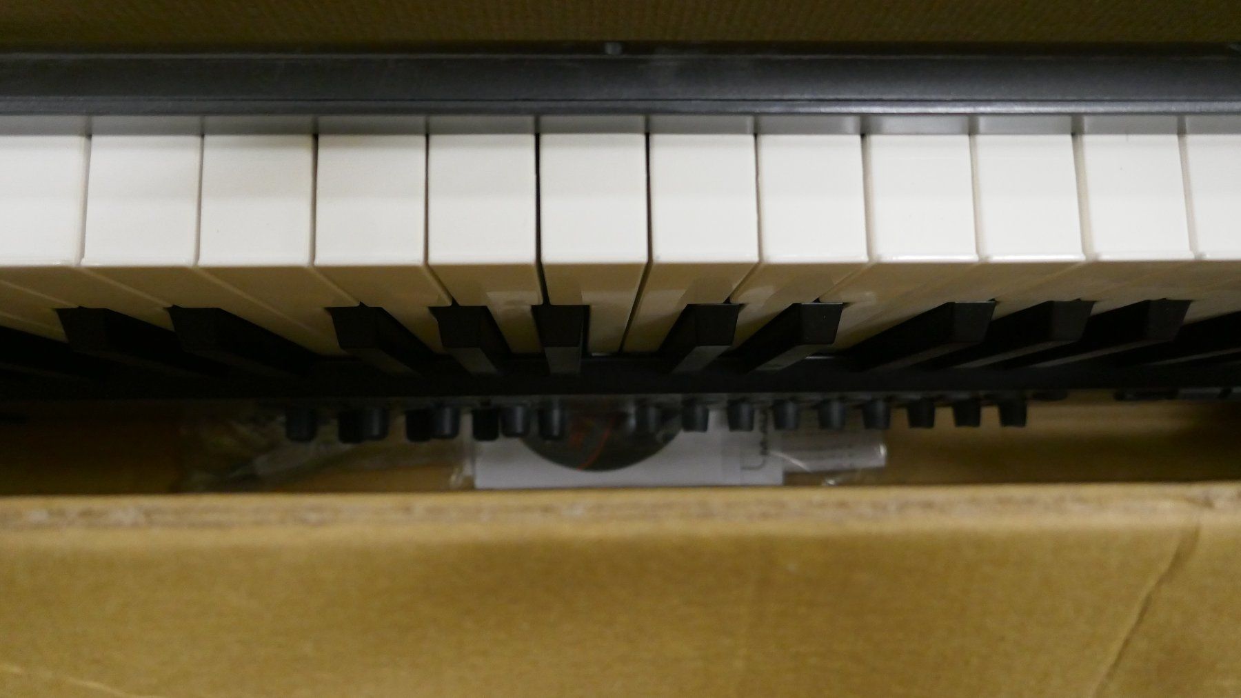 M-Audio Strumenti musicali: M-Audio Axiom 61 MIDI Keyboard – Nuovo (secondo la descrizione) da Wenslingen venduto da FairlightCMI 3