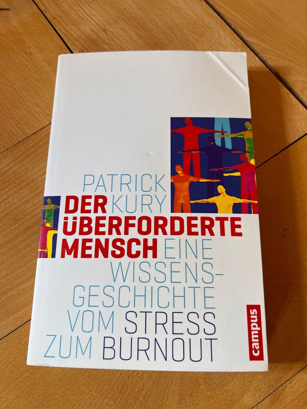 Libri: Der überforderte Mensch von Patrick Kury – Usato da Zürich venduto da 411osmanbey