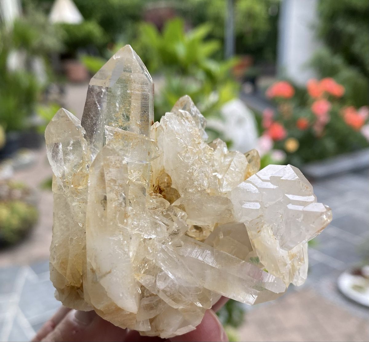 Minerali & Pietre curative: Schöne Bergkristall Stufe Schweiz  – Usato da Selzach venduto da 321compac 6