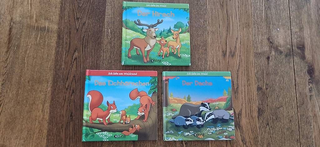 Libri: Bücherset 3Stk – Usato da DOTTIKON venduto da fabnico