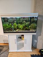 Aquarium mit Inhalt