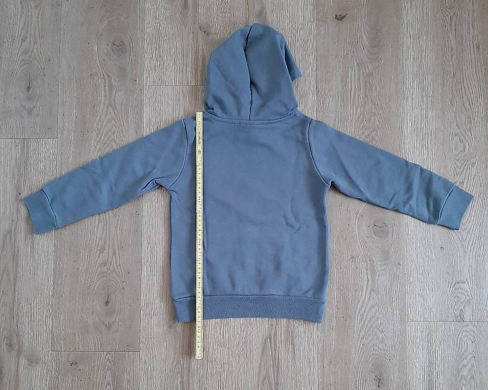 Maglioni & Felpe: Kapuzen-Pullover grau mit Dino-Aufdruck Gr. 116 – Usato da Bütschwil venduto da enzian008 1
