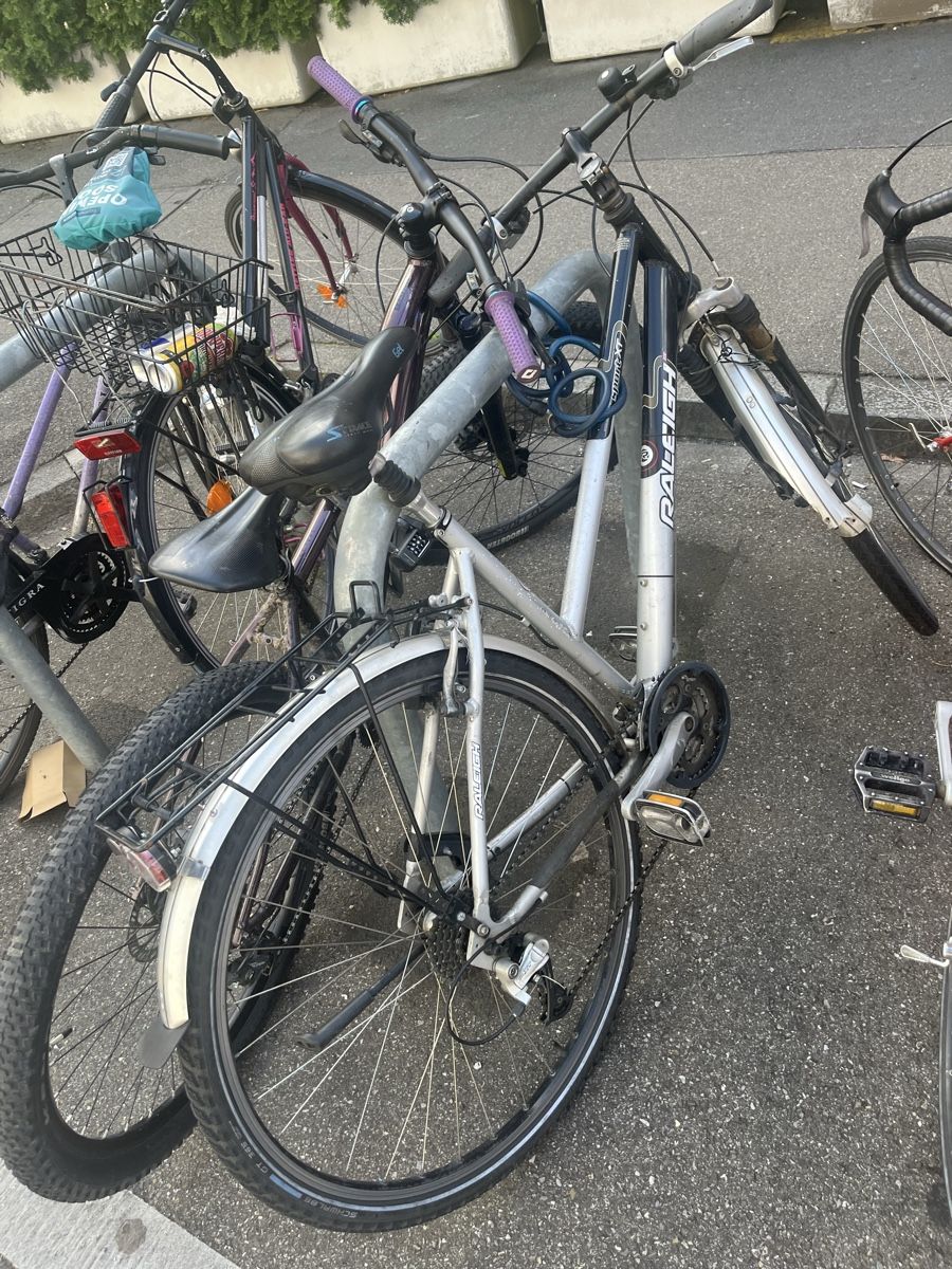 Raleigh Vélos: Raleigh Mtb – D'occasion à Zürich par dig_9cgg 3
