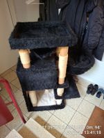 Stabiler, massiver Traum-Katzenbaum - schwarz/ beige