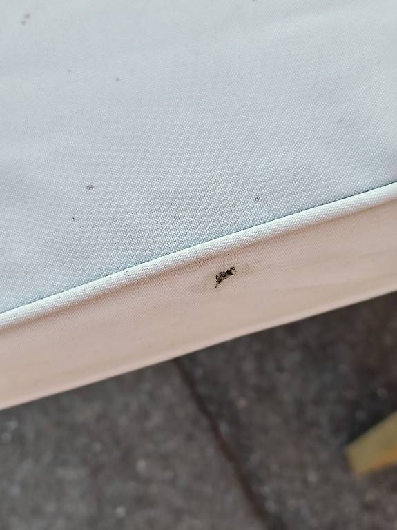 Sedie a sdraio: Gartensofa – Usato da Frauenfeld venduto da DuDaDo 1