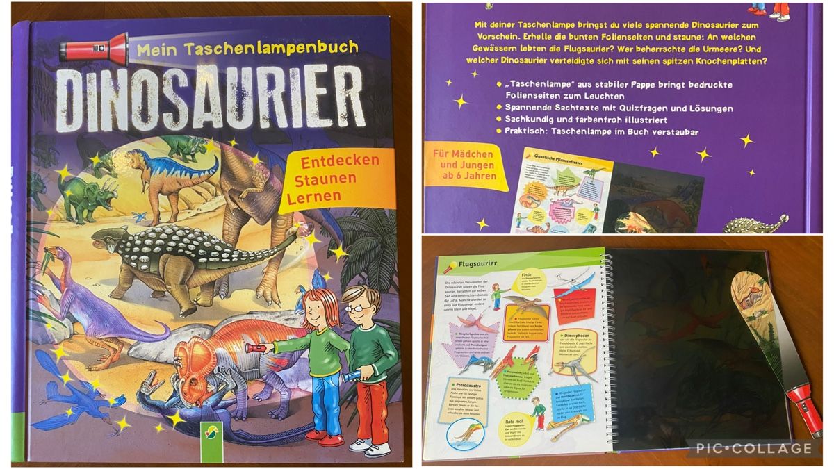 Libri: 5 x Super Bücher – Usato da Laufen venduto da mercedes420 5