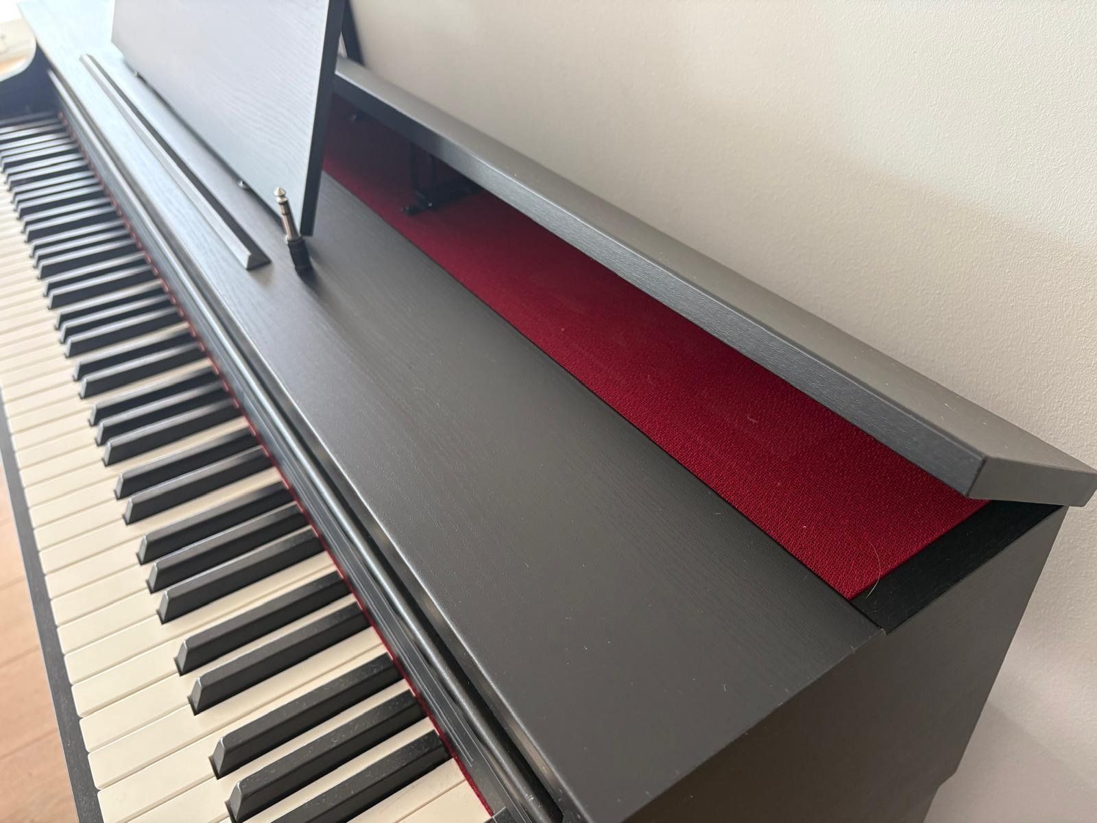 Casio Strumenti musicali: Casio E-Piano CELVIANO AP-470BK Schwarz – Usato da Meilen venduto da orca54 2