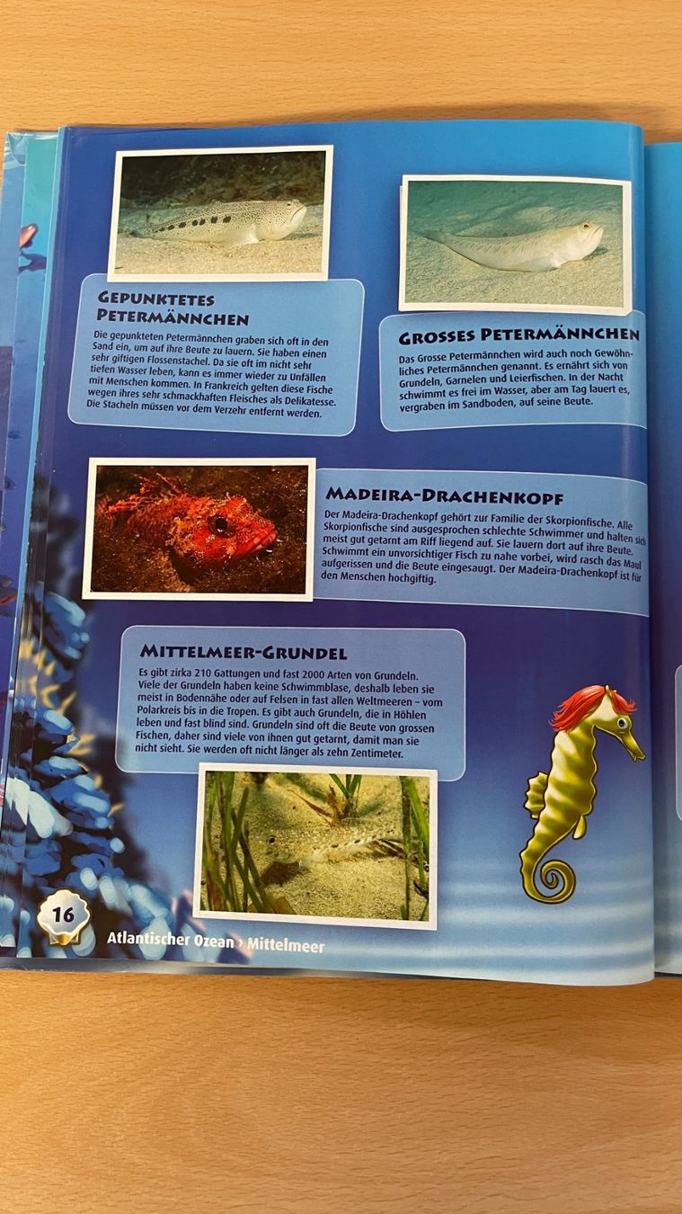 WWF Album: Ocean Mania - Abenteuer Weltmeere – Usato da Glattfelden venduto da markweb 4