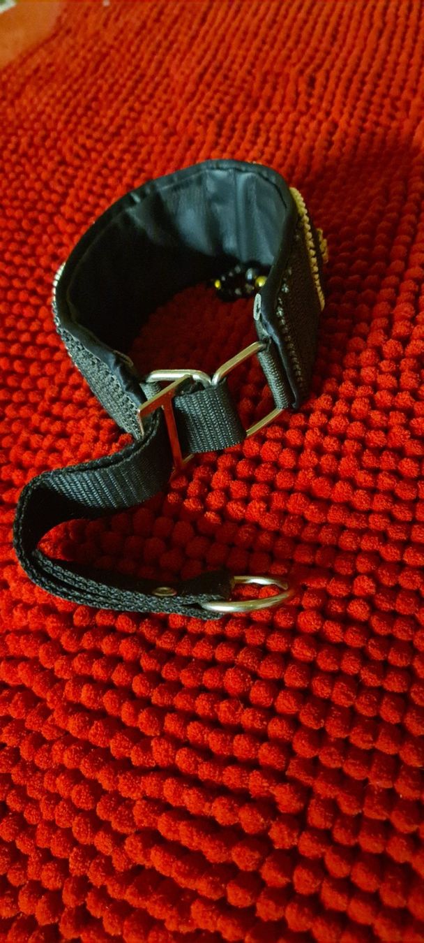 Guinzagli & Collari: Windhund Halsband – Usato da Bellerive VD venduto da Hermes5 3
