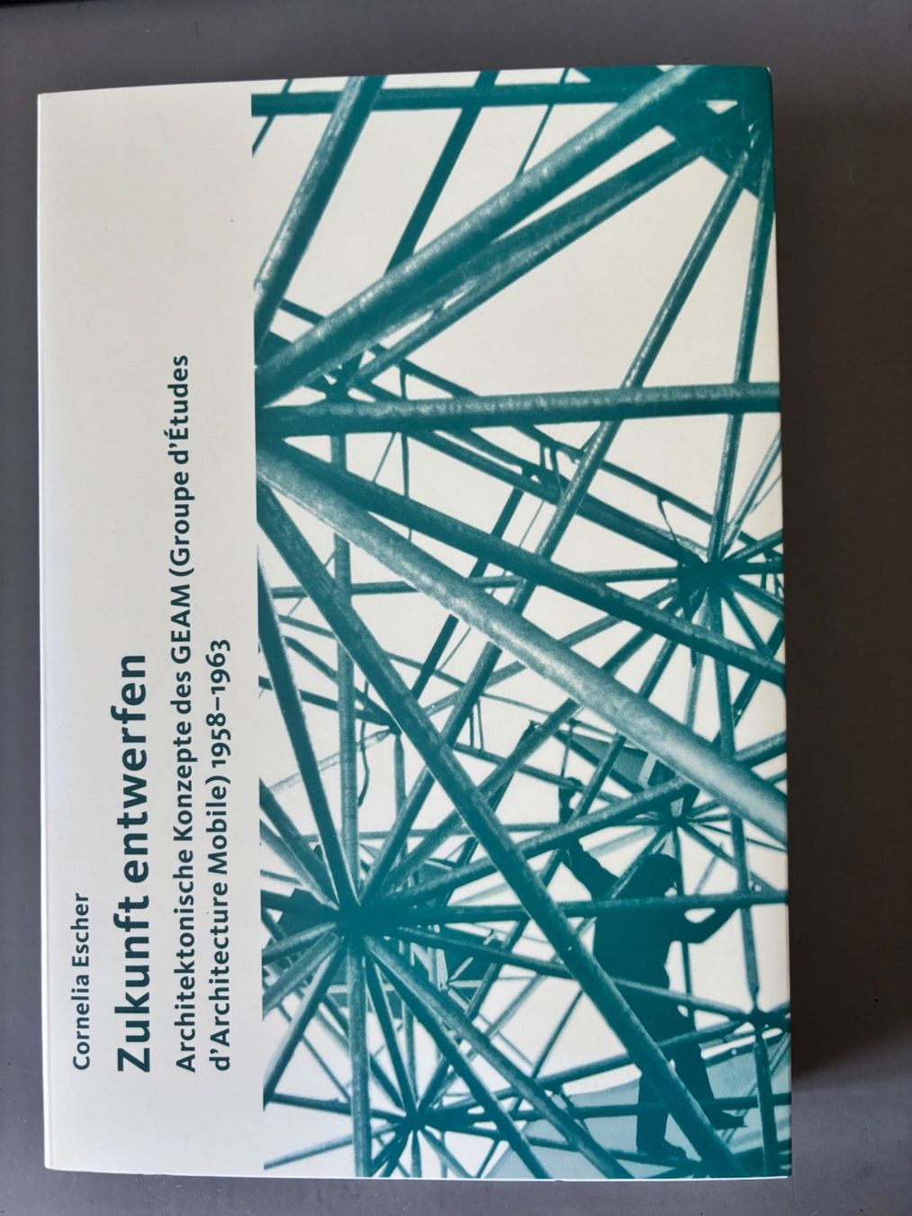 Libri: Zukunft entwerfen Cornelia Escher Architektur – Usato da Winterthur venduto da Fisch0225