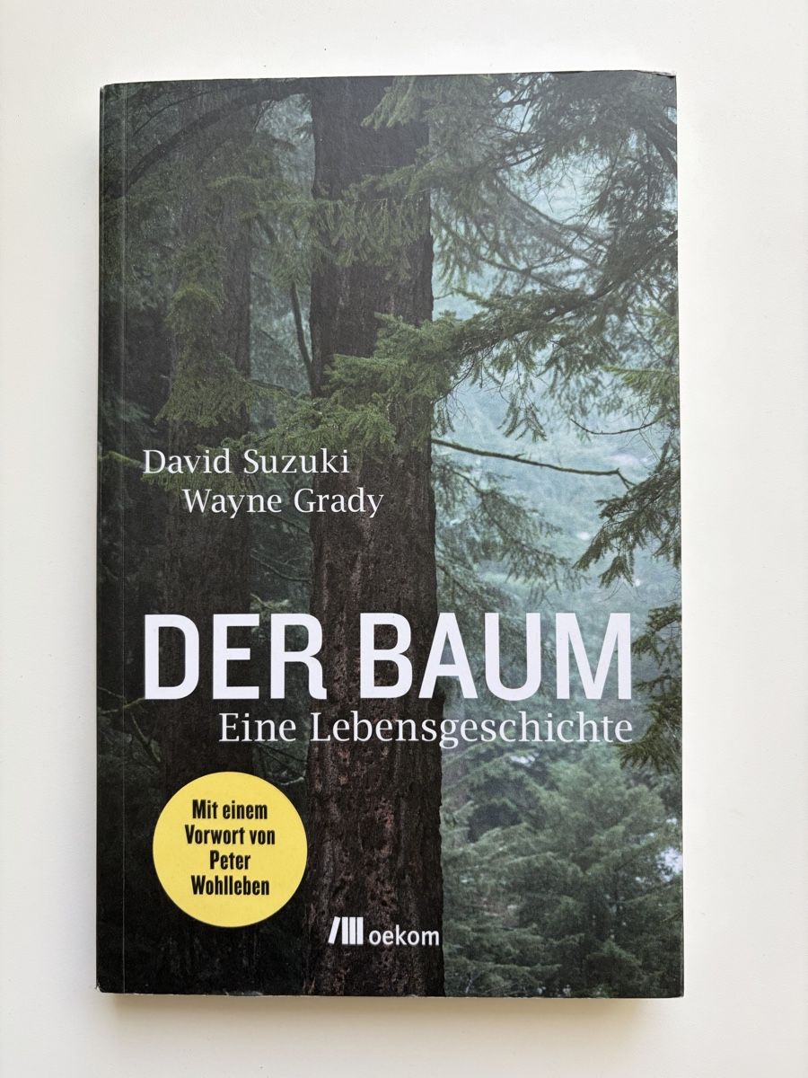 Libri: Buch DER BAUM Eine Lebensgeschichte David Suzuki Oekom – Usato da Rieden AG venduto da Paulquappe