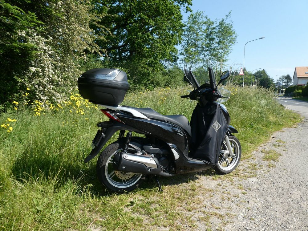 A vendre scooter Honda SH300A Kaufen auf Ricardo