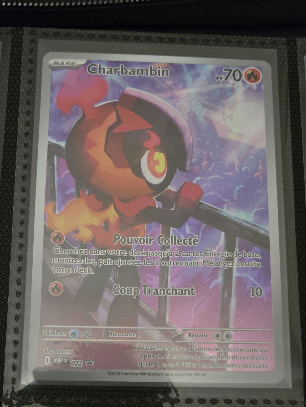 Pokémon Carte collezionabili: Charbambin MEP BlackStar FR – Nuovo (secondo la descrizione) da Onex venduto da ZoogZoogShop