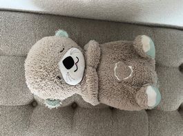 Schlummerotter