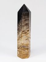 Versteinertes Palmenholz Obelisk Turm 9,5cm