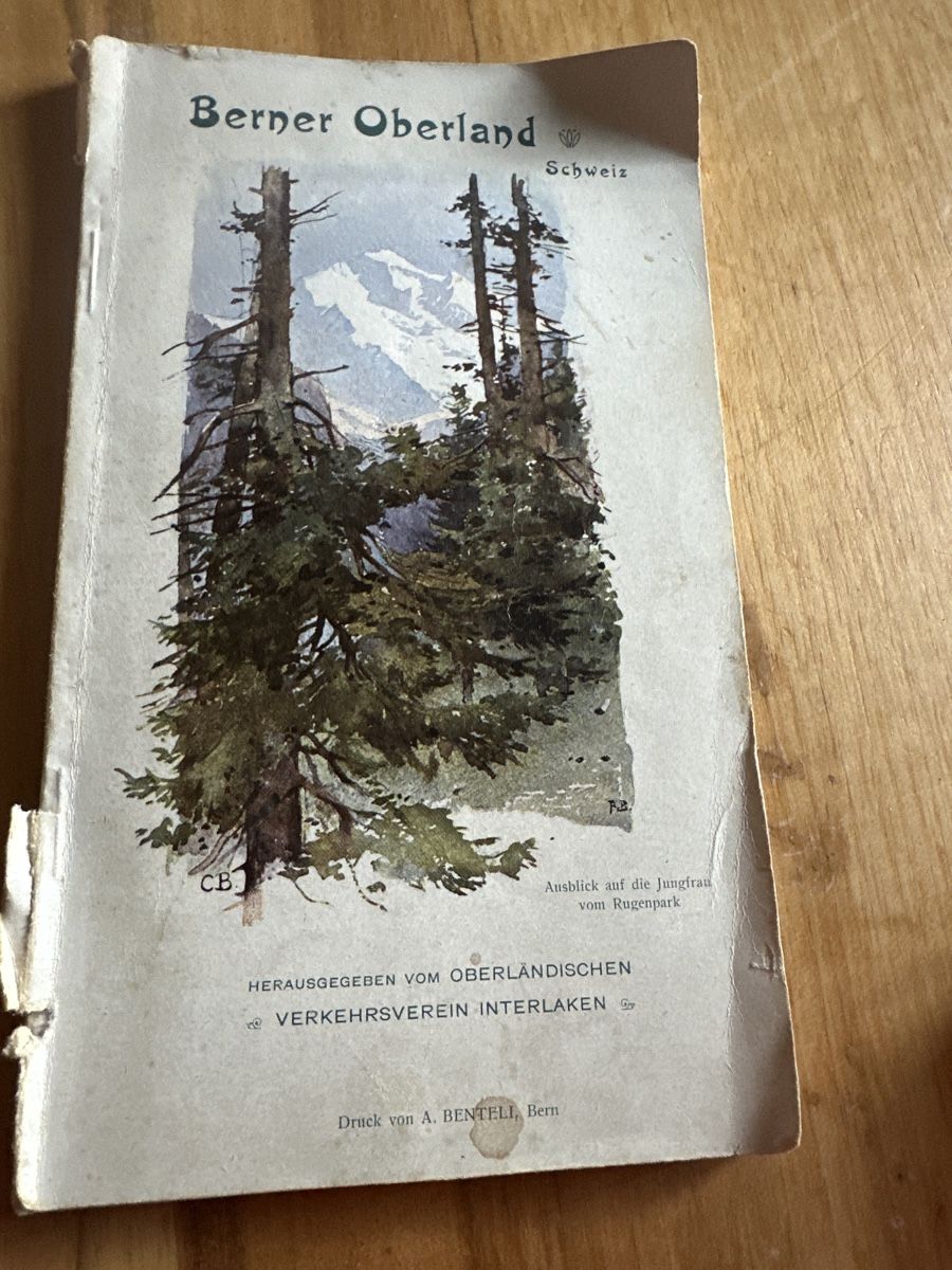 Libri: Wegleitung Berner Oberland, Erstausgabe 1901 – Usato da Frauenfeld venduto da aluma14 1