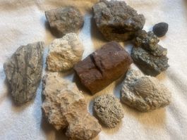 Diverse Gesteinskollektion - Perfekt für Sammler! (S)
