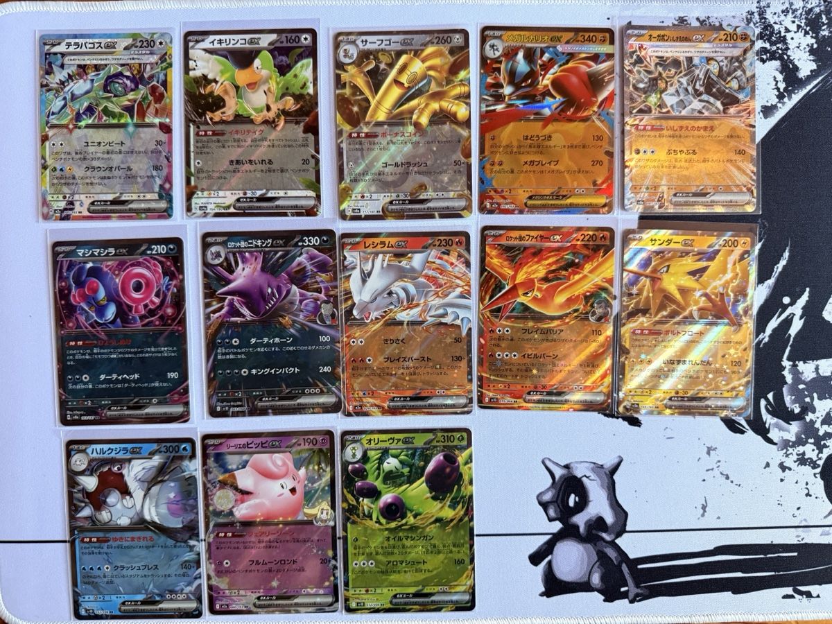 Pokémon Carte collezionabili: Pokémon ex Sammlung 13 Stk.  – Nuovo (secondo la descrizione) da Elsau venduto da mintgreen1