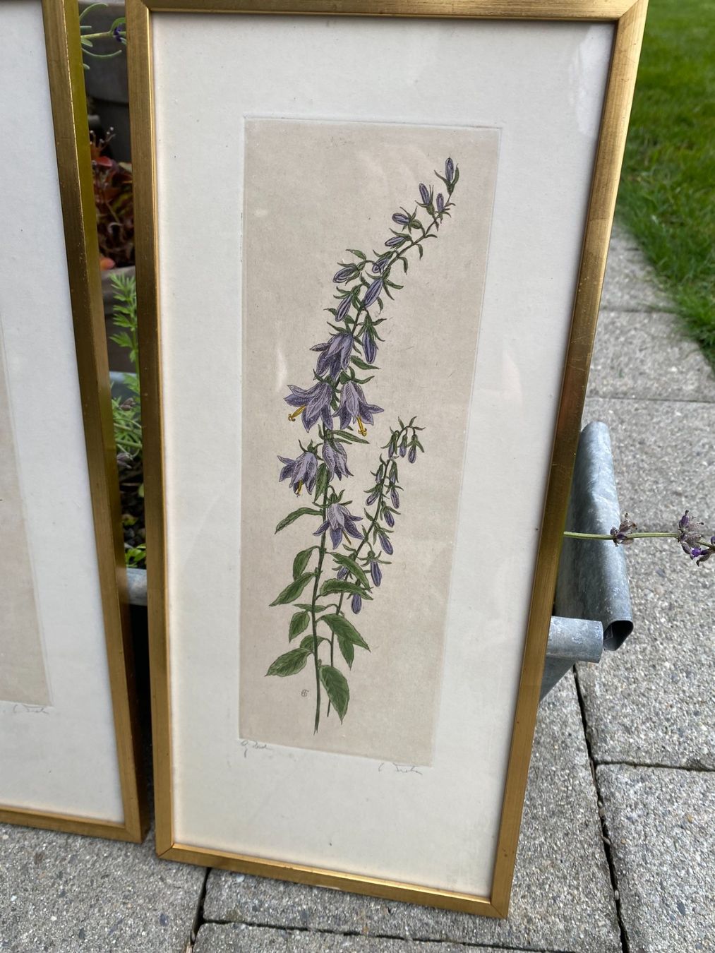 Poster & Bilder: Handgemachte Blumenbilder, 1962 – Gebraucht aus Unterengstringen von Dale2 6