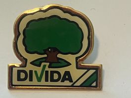 1 Pin Divida