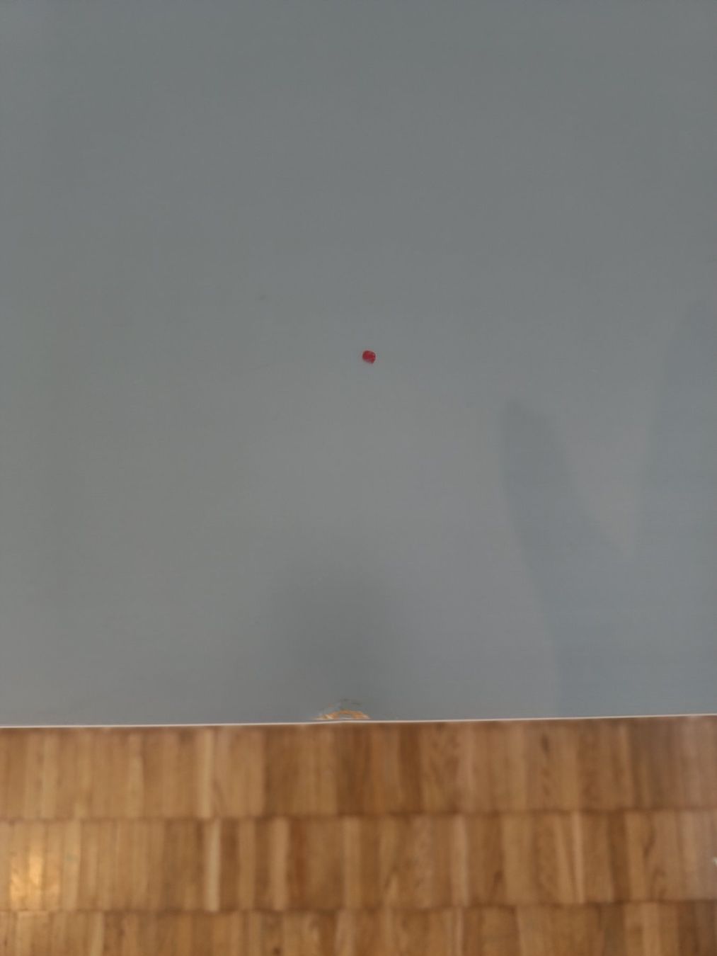 Ikea Scaffali: Graues Kallax Regal Ikea 2x4 Fächer – Usato da zürich venduto da juedlii 1