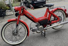 Puch Maxi N