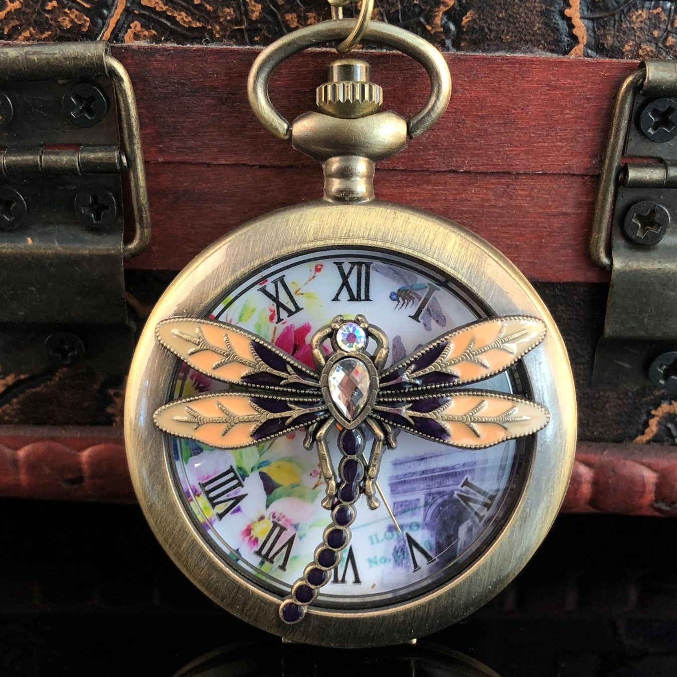 Orologi: Taschenuhr Halskette Libelle Dragonfly – Nuovo e nell'imballaggio originale da Gurmels venduto da Swisspod