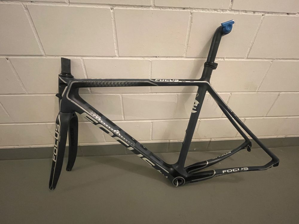 focus carbon frame