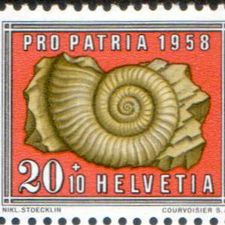 Profile image of HM-Stamps-and-Stones