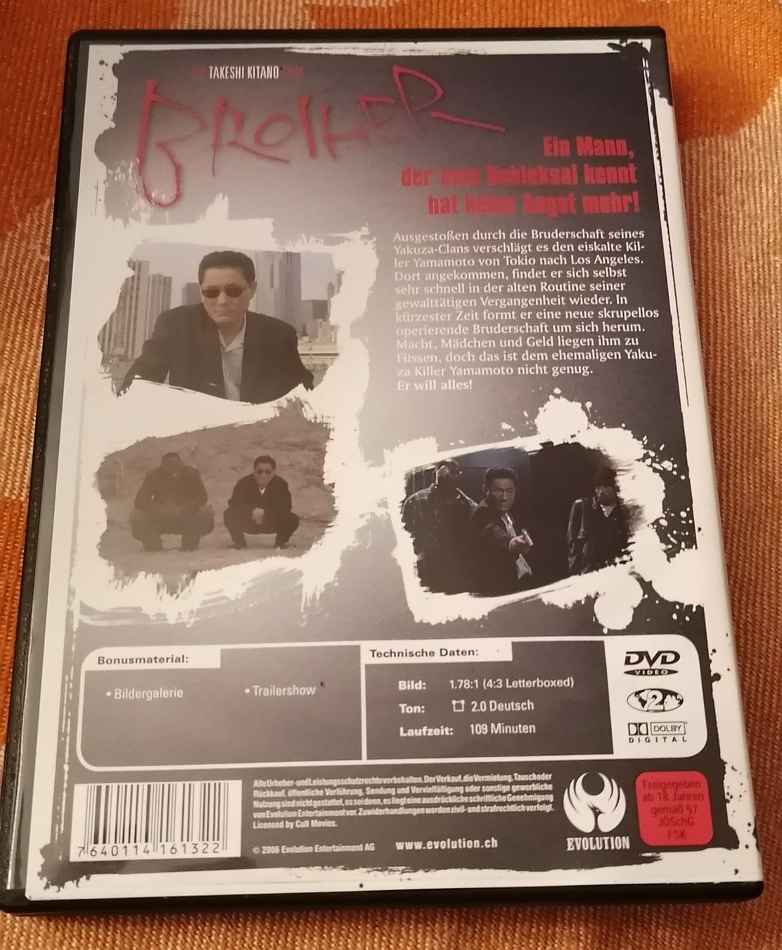 Tutti i DVDs: Brother DVD - guter Zustand – Usato da Elsau venduto da 1995staub 1