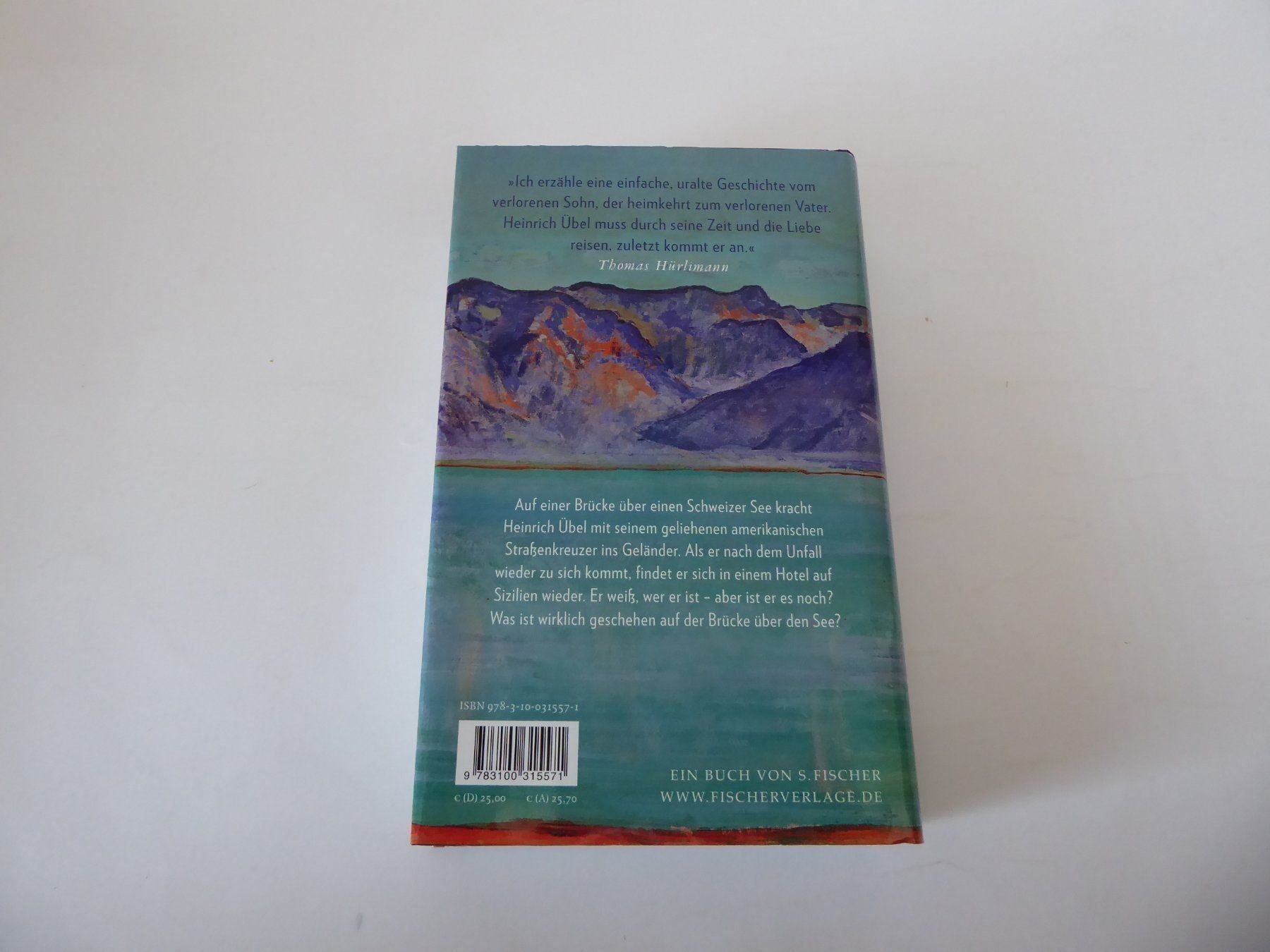 Bücher: Roman: Heimkehr, Thomas Hürlimann – Neu (gemäss Beschreibung) aus Turbenthal von Panau 4