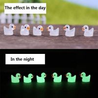50 x fluoreszierende Mini-Ente