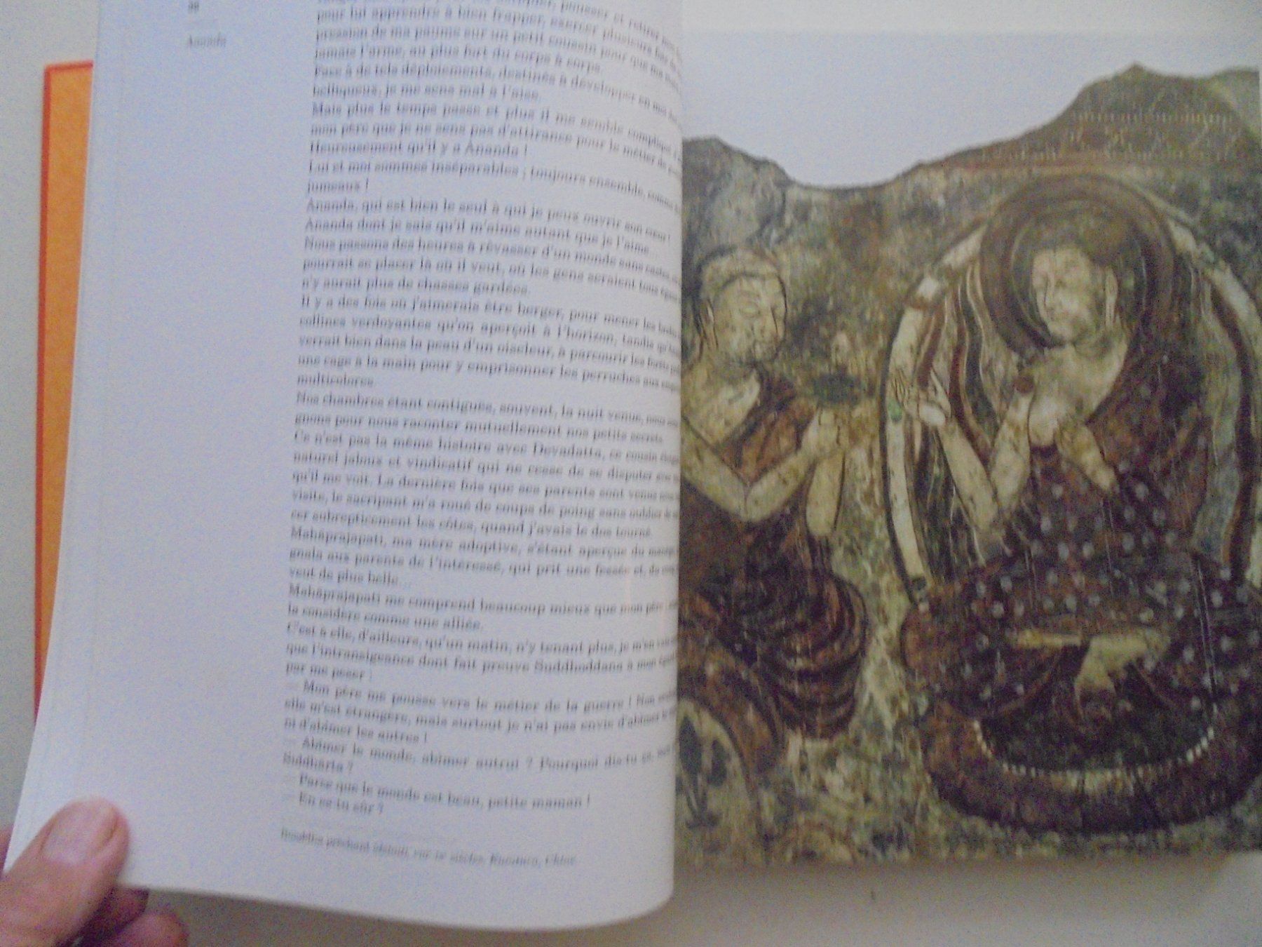 Libri: " Bouddha " par José Frèches. 320 pages, comme neuf – Usato da Eclépens venduto da Consuelo 7